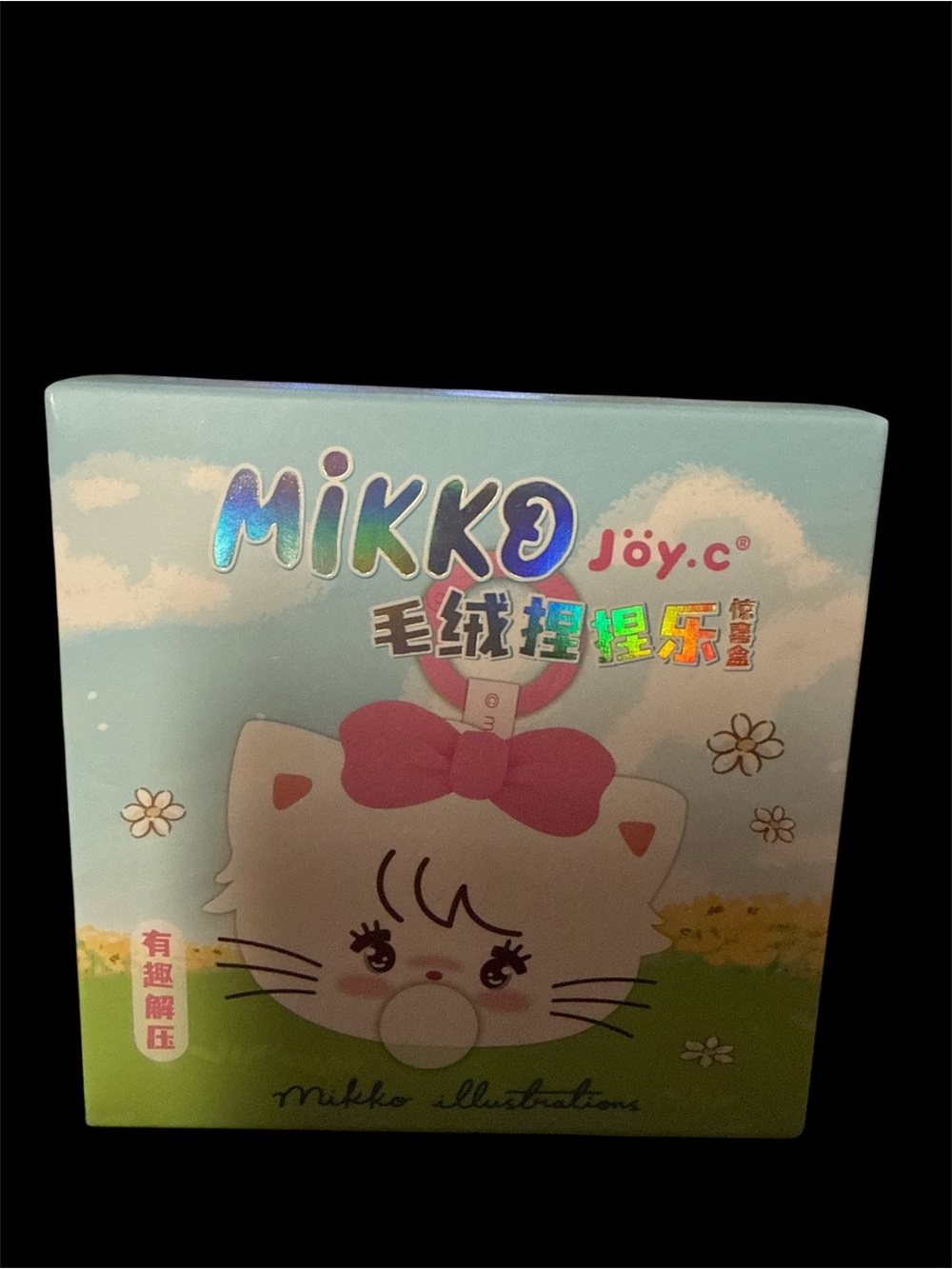 Blind Box Pink Cat Squishy Toy - Soft Sensory Play